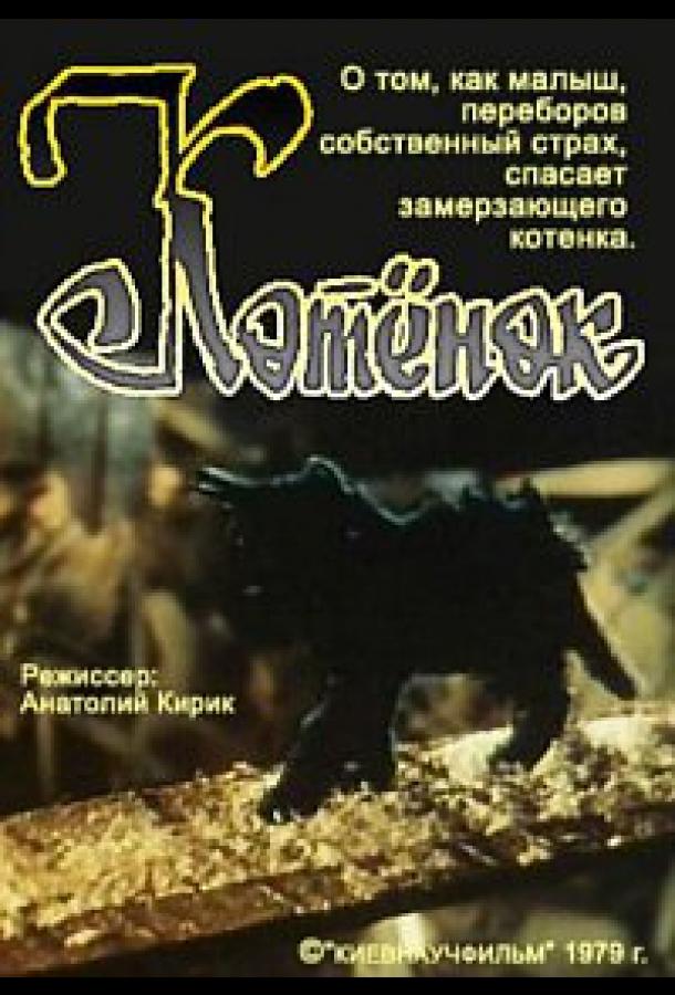 Постер к Котёнок (1979)